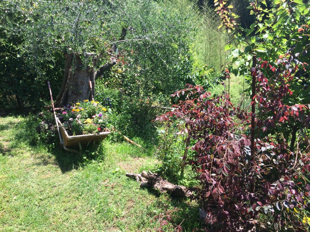 Penzion La Casina Delle Rondini Corsanico-Bargecchia Exteriér fotografie